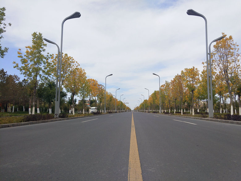 第七师胡杨河市2020年道路项目（新华路）